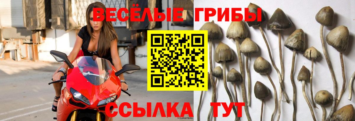 Холмск  Псилоцибиновые грибы MAGIC MUSHROOMS  Вход с VPN  Псилоцибиновые грибы ЛСД 